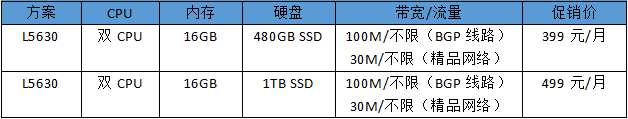 RAKsmart SSD L5630美国服务器仅需399元