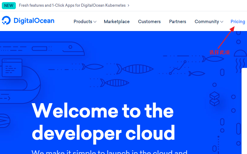 DigitalOcean优惠码使用方法简单介绍