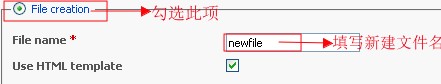 Plesk设置在线上传文件教程