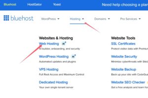 BlueHost