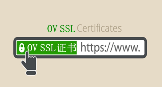 OV SSL证书