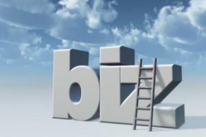 .biz域名