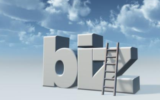 .biz域名