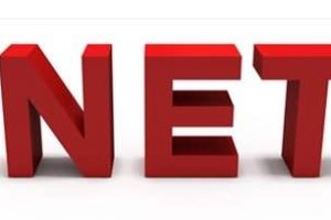 net域名