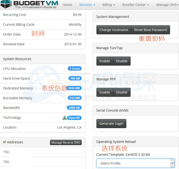 BudgetV VPS后台