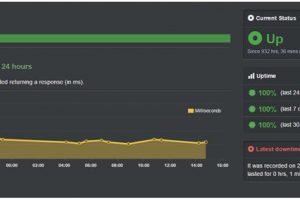 托管正常运行时间得分100％