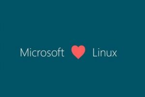 Hostwinds Windows和Linux系统之间的区别