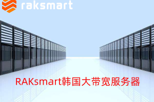 https://www.idcspy.com/raksmart.html