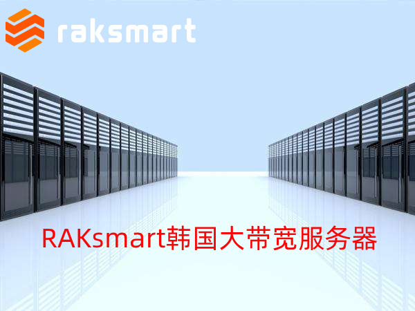https://www.idcspy.com/raksmart.html