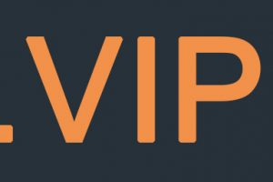 vip域名