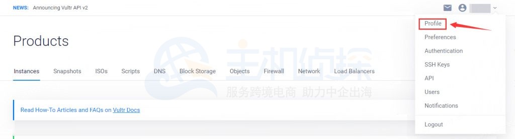 Vultr官网