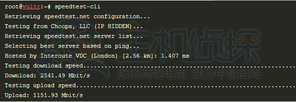 Vultr网络速度