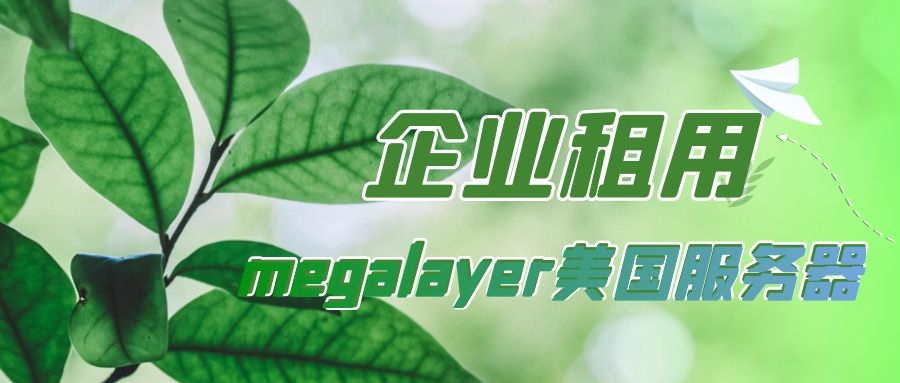 megalayer美国服务器