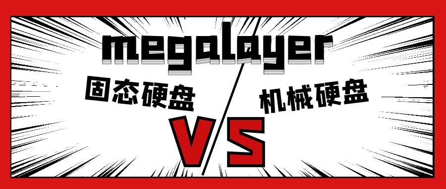 megalayer香港服务器硬盘