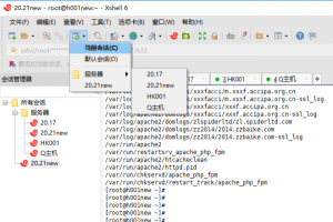 XShell更改终端色