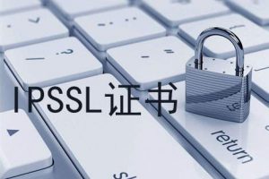 IP SSL证书