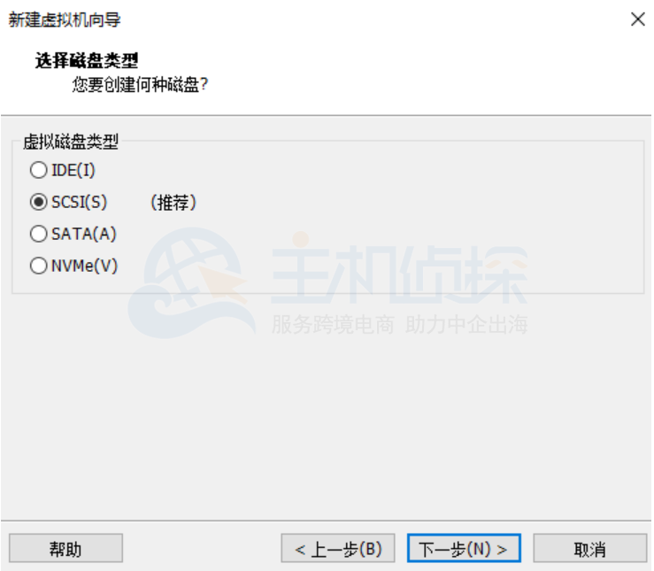 默认选项
