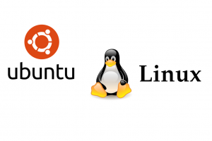 Ubuntu和Linux的区别