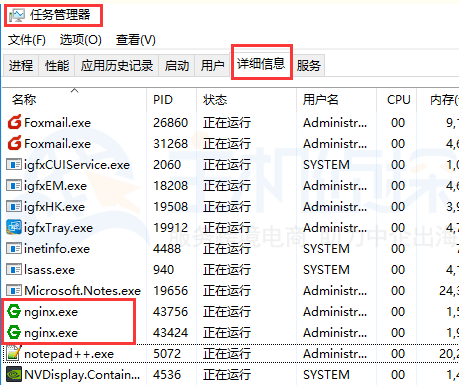 Nginx.exe进程
