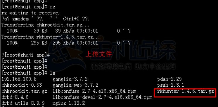 上传RKHunter
