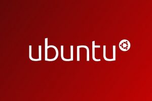 RAKsmart Ubuntu配置IP教程