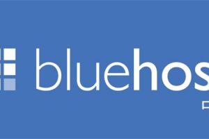 BlueHost香港服务器