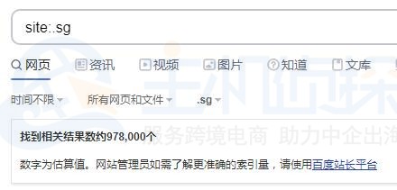 sg域名查询