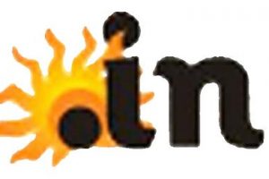 in域名