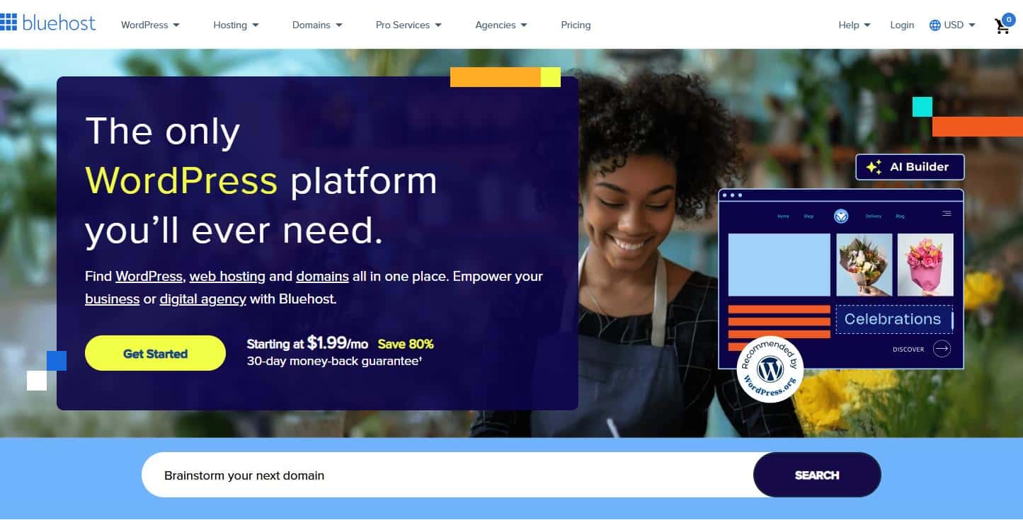 BlueHost