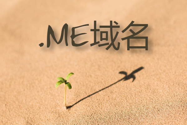 .me域名最新应用趋势与注册指南：从个人品牌、社交账号到企业官网，全面了解.me域名的优势、价格及使用场景-亿动网络笔记