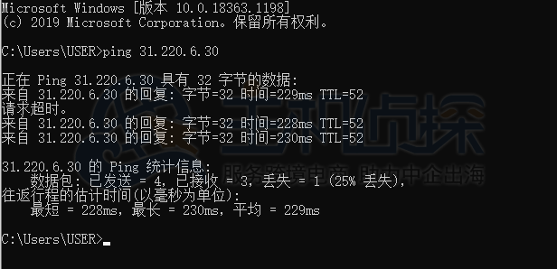 荷兰机房本地