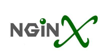 Nginx使用多域名SSL证书配置域名的教程