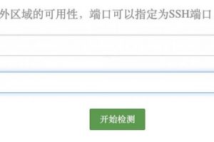 Vultr VPS的IP