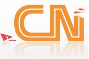 cn域名