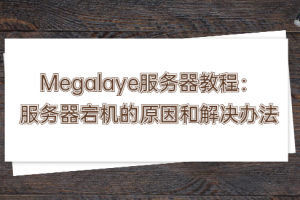 megalayer服务器教程