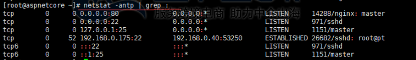 端口占用情况