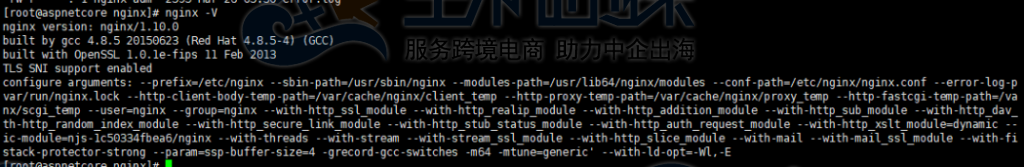 查看Nginx版本