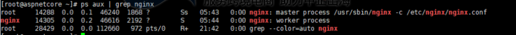 nginx进程运行状态