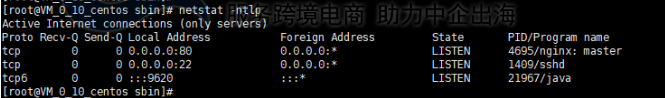 80端口