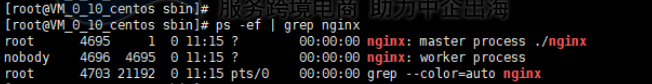 查看Nginx进程
