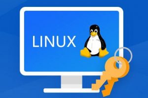 用SSH密码方式登录Linux实例用户被锁定如何解决