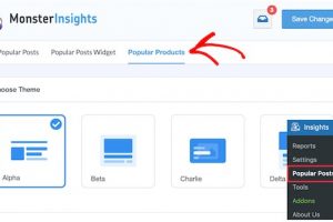 MonsterInsights
