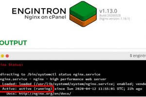 Nginx反向代理