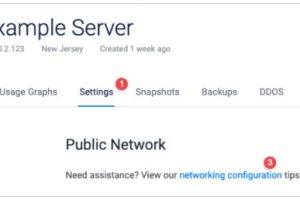 Vultr VPS