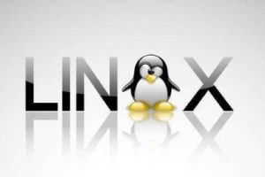 Linux服务器