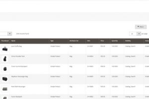 Magento 2建站