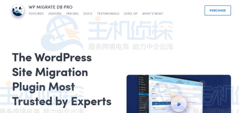 WP Migrate DB