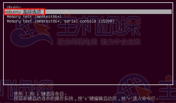 Ubuntu高级选项