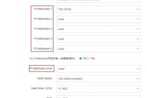 RAKsmart美国大带宽服务器购买教程