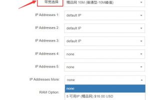 RAKsmart香港CN2服务器